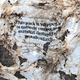Compostable plastic that has not fully disintegrated in a compost bin.